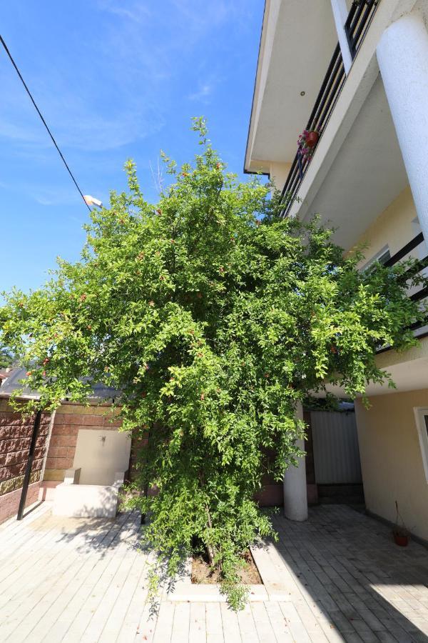 Rozalin Guest House Gudauta Zewnętrze zdjęcie